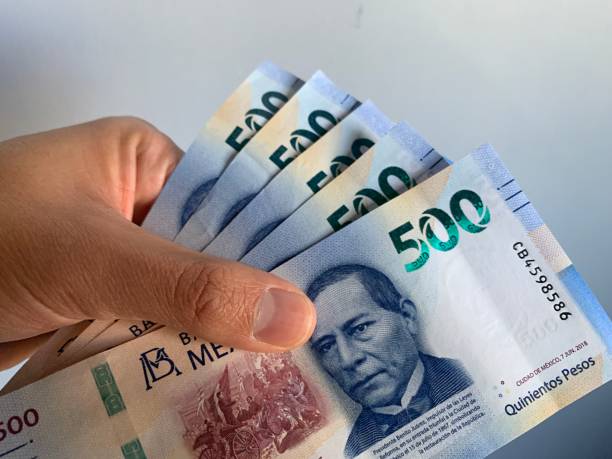 istock Hand holding mexican banknotes 1198723055
