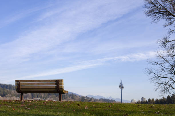 istock Isolated bench in the park 1198728361