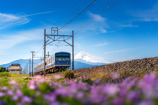 Shizuoka, Japan - April 13,2019 : A local train of JR Izuhakone Tetsudo-Sunzu Line traveling through the countryside on a sunny spring day and Mt. Fuji in Mishima, Shizuoka, Japan