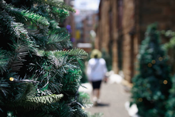 Laneway with Christmas trees sand scattered snow. Focus on foreground. Woman walking away from camera in the distance.