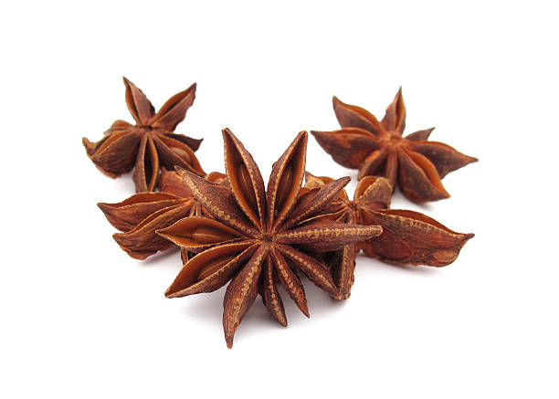 istock Star anise fruits 119873337