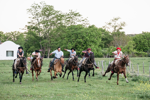 Six young Argentine gauchos racing each other while on horseback across springtime estancia grassland in late afternoon.