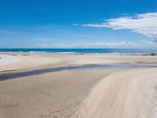 istock Landscape with desert beach with white sand and blue sky 1198735744