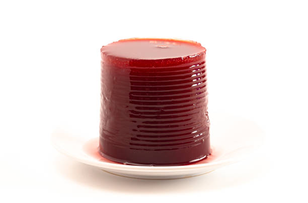 sauce aux canneberges à la gelée lisse d'une boîte - jellied cranberries photos et images de collection