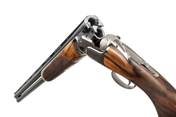 Classic double-barrell smooth-bore hunting rifle isolated on white background. Weapons for sport and hunting.