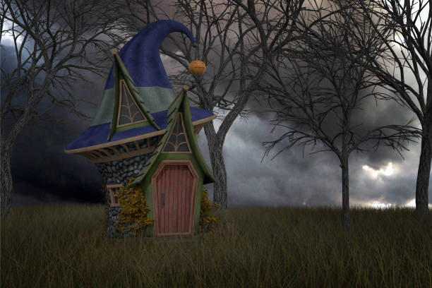 istock Old witches hat house in a field, 3d render. 1198741485
