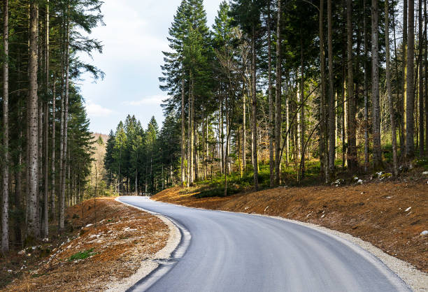 istock Newly constructed road leading through the forest 1198742223