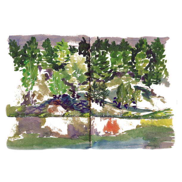 ilustrações, clipart, desenhos animados e ícones de costa lagos rio lagoa aquacolor esboço árvores - illustration and painting stone beach cliff