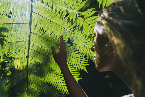 A young beautiful woman in the rain forest looking through silver fern leaf, New Zealand