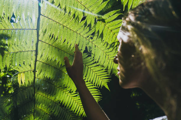 Photo of Woman in the forest looking through silver fern leaf
