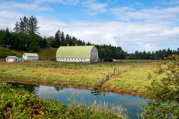 istock Cattle ranch in western Washington 1198746593