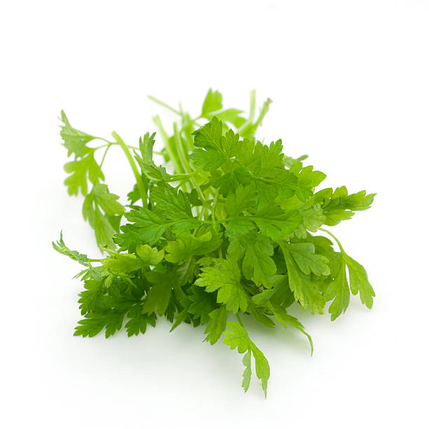 cerfoglio - green food chervil herb foto e immagini stock