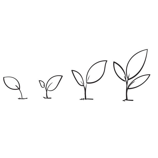 ilustrações, clipart, desenhos animados e ícones de linha de arte crescente planta broto com estilo doodle desenhado à mão - small plants
