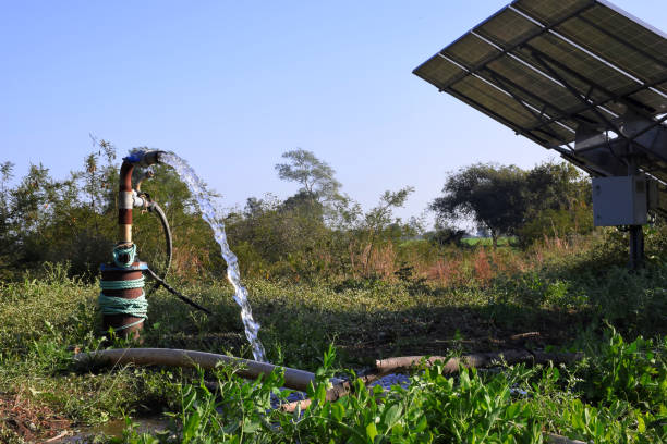 istock agricultural equipment for field irrigation, water jet, behind which is solar panel's, 1198760149