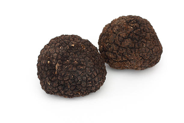 istock black truffle mushrooms 119876102