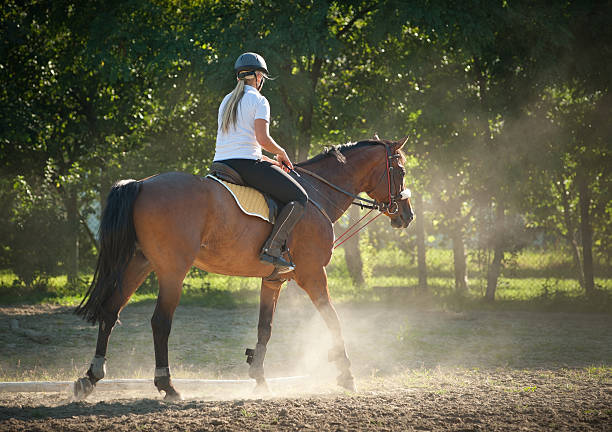 istock girl riding a horse 119876162