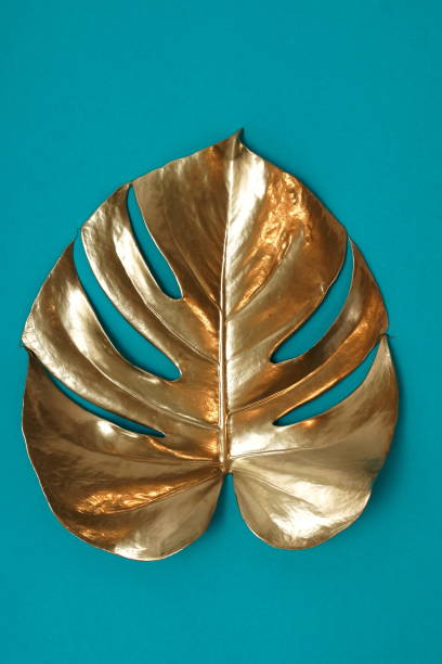 istock Gold leaf plant tropical monstera  on a blue background. top view.abstract.poster 1198768257