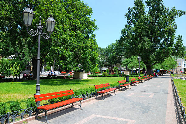 istock Summer day in city park 119877068