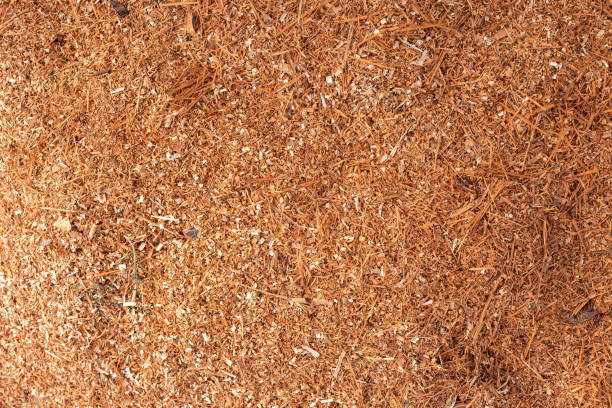 istock Sawdust or wood dust texture background. 1198770691