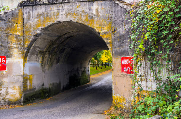 istock Road through an old one-way arched concrete bridge 1198775122