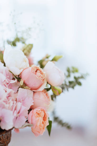 istock Beautiful blossoming flowers. 1198776110