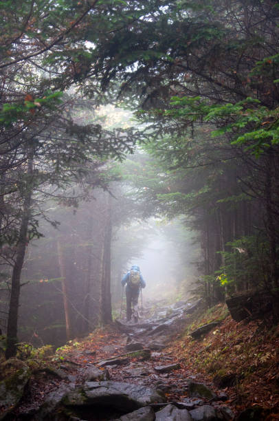 istock A Hiker Exploring Foggy Trails 1198776393