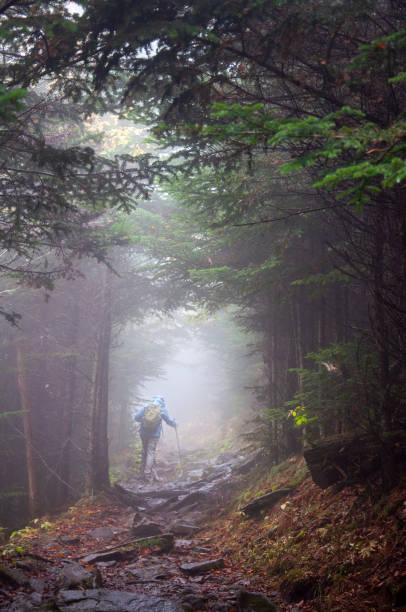 istock A Hiker Exploring Foggy Trails 1198776490