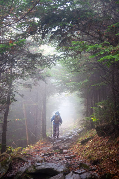 istock A Hiker Exploring Foggy Trails 1198776492