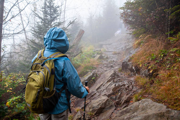 A Hiker Exploring Foggy Trails