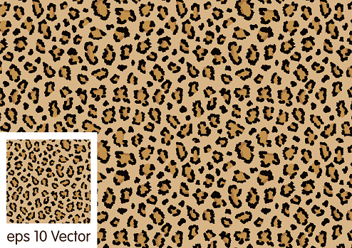 Leopard Pattern Design Vector Background Stock Illustration - Download ...