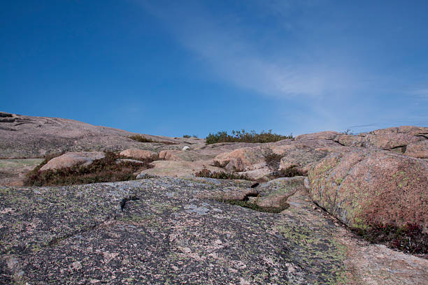 istock Rocky summit of Cadilac Mountain 119878262