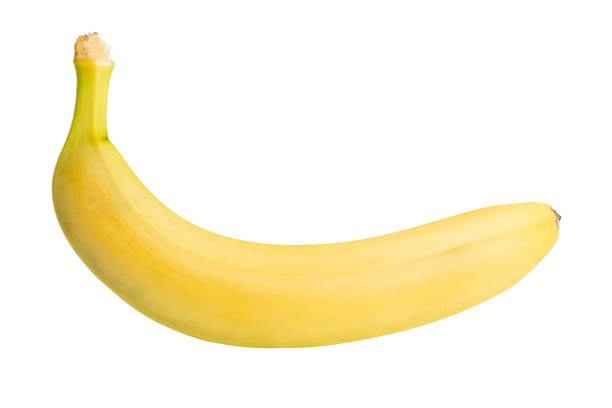 istock One ripe yellow banana fruit isolated on white background 1198792505
