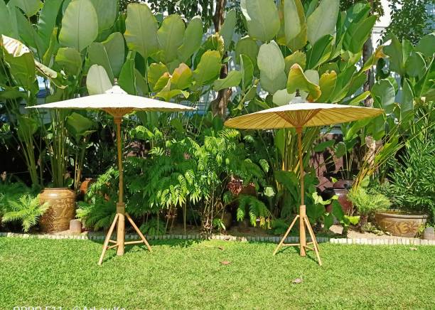 istock Two white umbrellas laying on the ground and trees and grass 1198795434