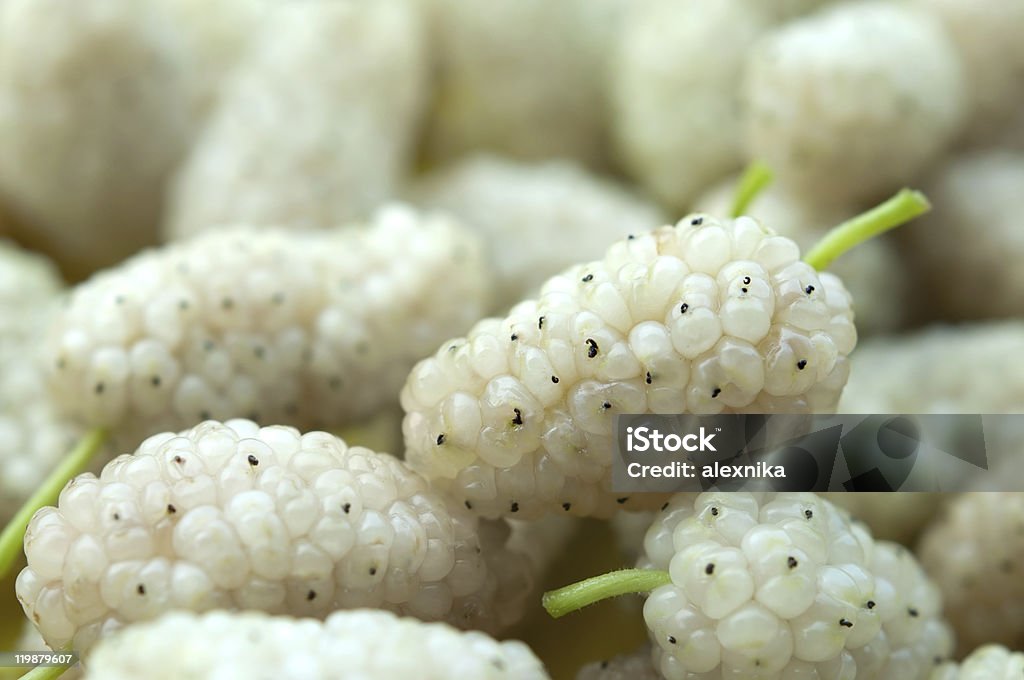 White mulberry close-up  Berry Fruit Stock Photo