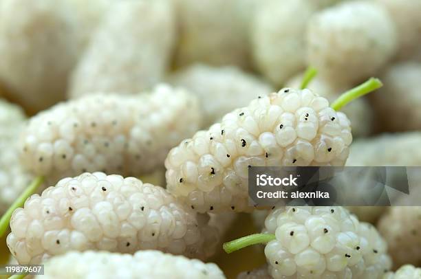 White Mulberry Closeup Stock Photo - Download Image Now - Berry Fruit, Close-up, Color Image