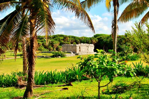 istock ruins of Tulum. 1198798342