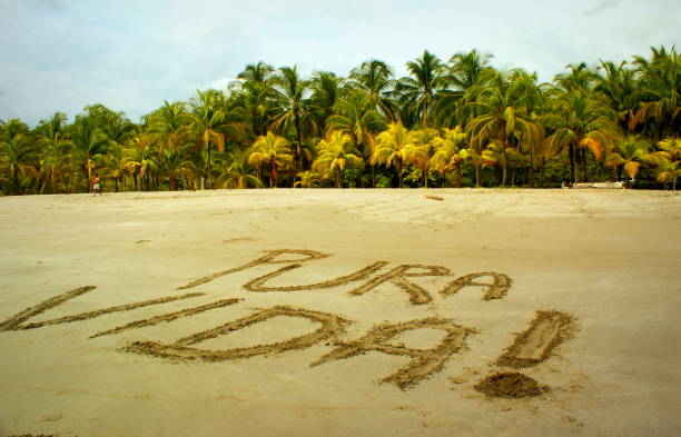 코스타리카는 카리요 해변, 코스타리카에서 모래에 쓰여진 "푸라 비다"를 말하는 - costa rica beach palm tree tree 뉴스 사진 이미지