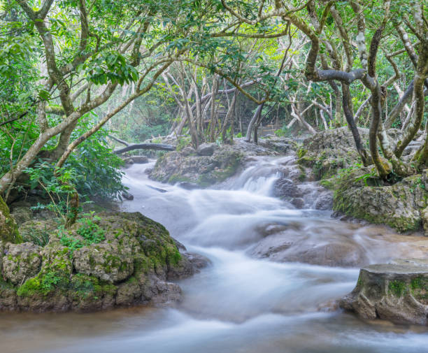 istock Water stream,Mountain river with stones 1198799975