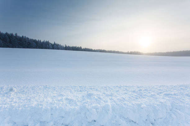 istock winter landscape with the forest and the sun 1198801359