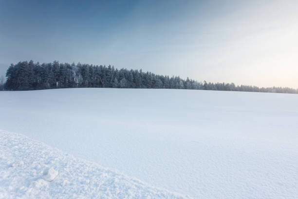 istock winter landscape with the forest and the sun 1198801367