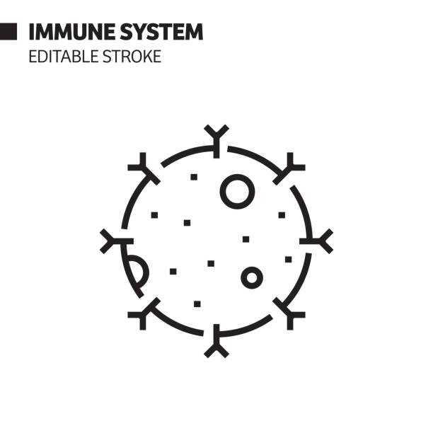 免疫システムラインアイコン、アウトラインベクトルシンボルイラスト。ピクセルパーフェクト、編集可能なストローク。 - immunology点のイラスト素材／クリップアート素材／マンガ素材／アイコン素材