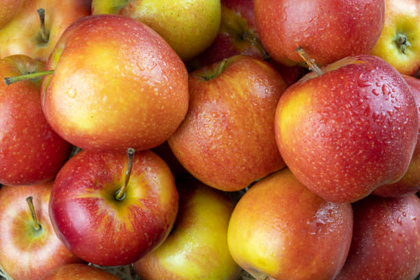 istock Juicy ripe apples background 1198807547