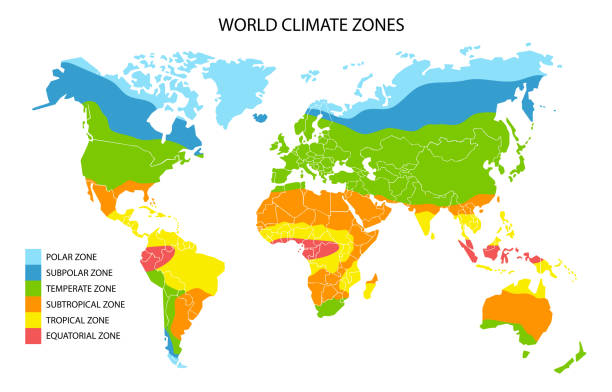 World climate zones map, vector geographic infographics World climate zones, vector geographic infographics. Global climate map, geography science. climate stock illustrations
