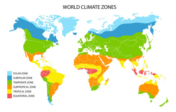 World climate zones map, vector geographic infographics World climate zones, vector geographic infographics. Global climate map, geography science. subtropical stock illustrations