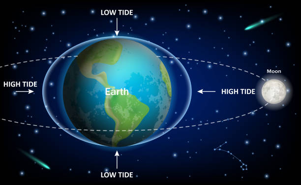 Low and high Moon tides, vector education diagram Low and high tides caused by the Moon, vector education diagram. Space exploration, geography, physics and astronomy science infographic template. tide stock illustrations