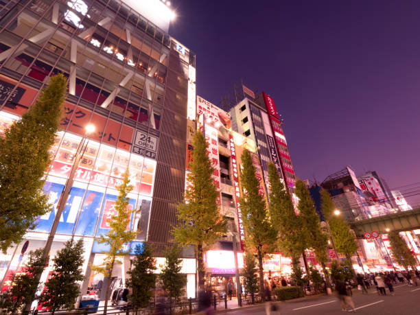 istock Akihabara Electric Town at Sunset 1198817263