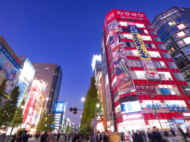 istock Akihabara Electric Town at Sunset 1198817518