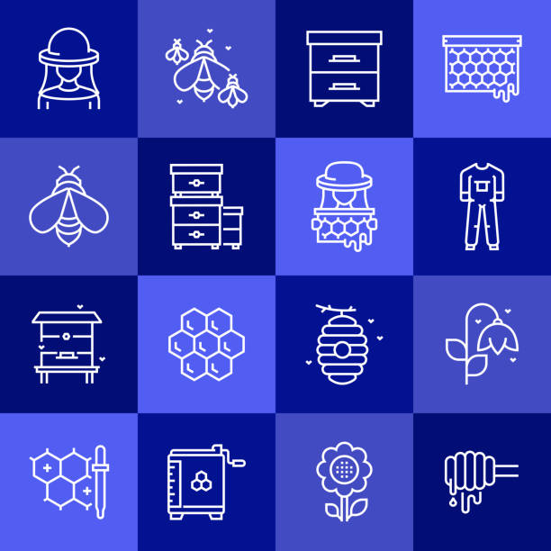 einfache satz von imkerei verwandte vektor linie icons. gliederungssymbolsammlung. - activity animal bee beeswax stock-grafiken, -clipart, -cartoons und -symbole