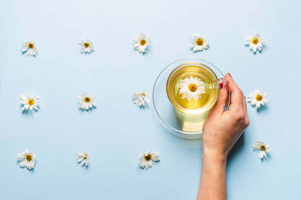 kubek kwitnącej herbaty rumianku w dłoni kobiety na niebieskim tle z rozłożonymi kwiatami. kwiatowe letnie tło. - blue chamomile zdjęcia i obrazy z banku zdjęć