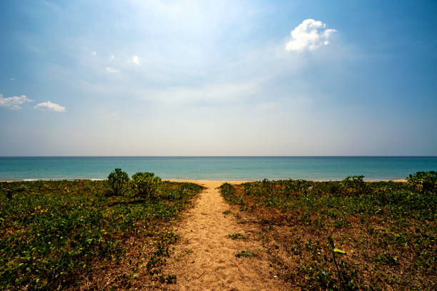 istock The walking path to the sea has morning glory and trees. 1198822247